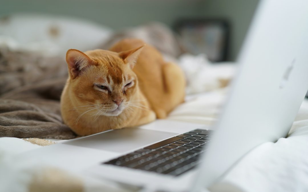 What do you hate about your website?